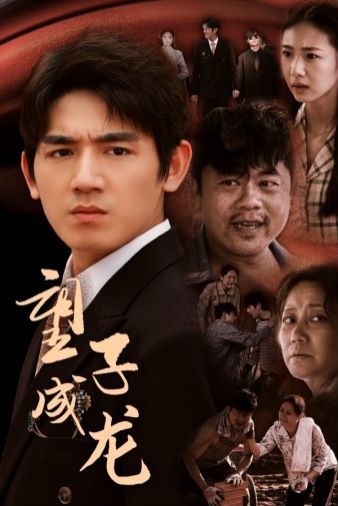 望子成龙全集(大结局)