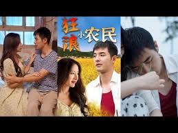 狂浪小农民第1-20集