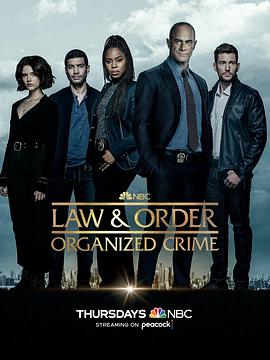 法律与秩序：组织犯罪 第三季第13集
