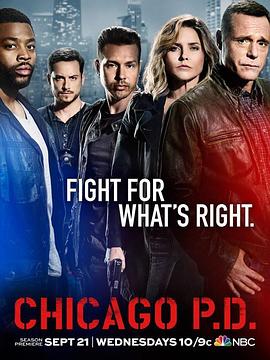 芝加哥警署 第四季第21集