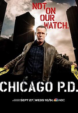 芝加哥警署第五季第12集