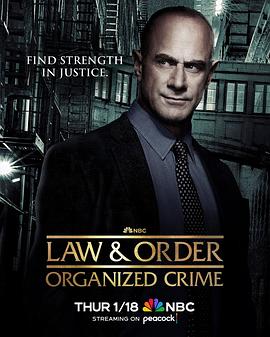 法律与秩序：组织犯罪第四季第05集