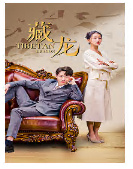 藏龙短剧版全集(大结局)