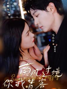 南风国境你我皆客全集(大结局)