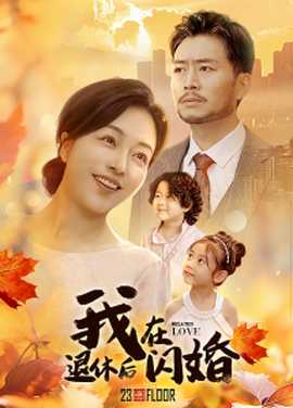 我在退休后闪婚全集(大结局)