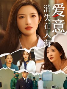 爱意消失在人海全集(大结局)