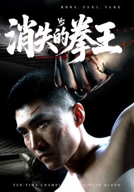 消失的拳王(全集)